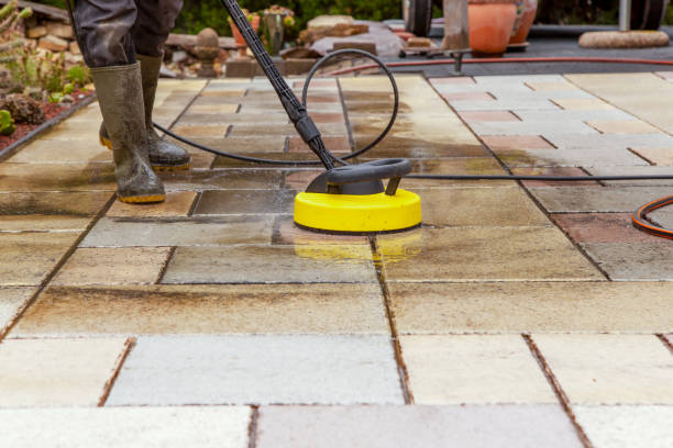 Best Animal Enclosure Cleaning  in Baywood, NY